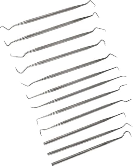12-delige RVS sonde Set
