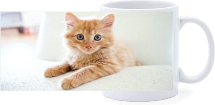 Beker - Rode Kitten