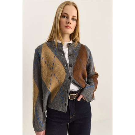 Argyle Patroon Ronde Hals Vest