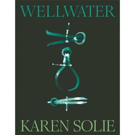 Wellwater - Karen Solie