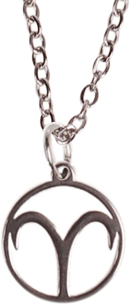 Ketting Zilverkleurig 55cm - Hangertje Sterrenbeeld RVS - Ram