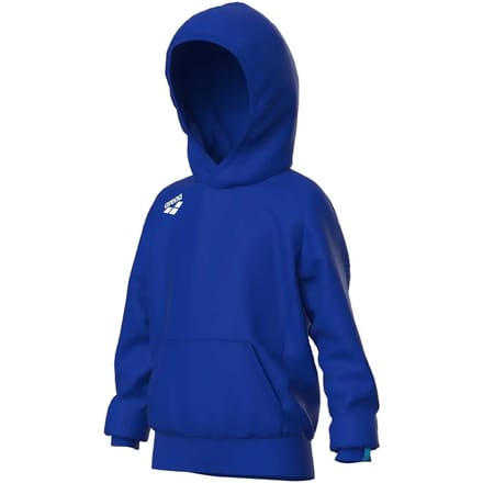 Junior Hoodie Arena Team Panel