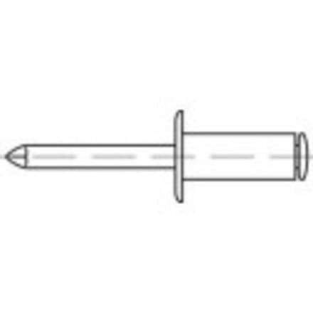 TOOLCRAFT 160001 Open popnagel (Ø x l) 4 mm x 16 mm RVS Staal 500 stuk(s)