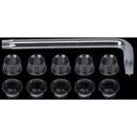 Fsa Ml021 Kettingblad Schroefset 10 Eenheden Zwart