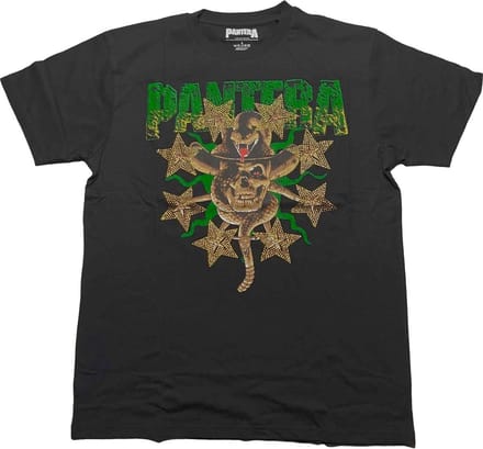Pantera - Skull & Snake Heren T-shirt - S - Zwart