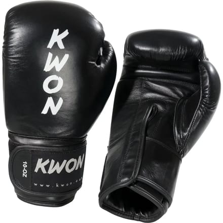 Bokshandschoenen Kwon Ergo Champ