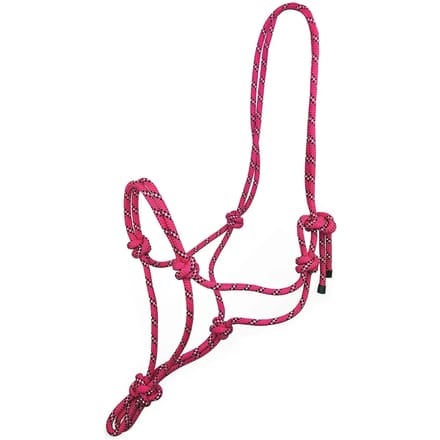 Halster voor paarden York Spirit