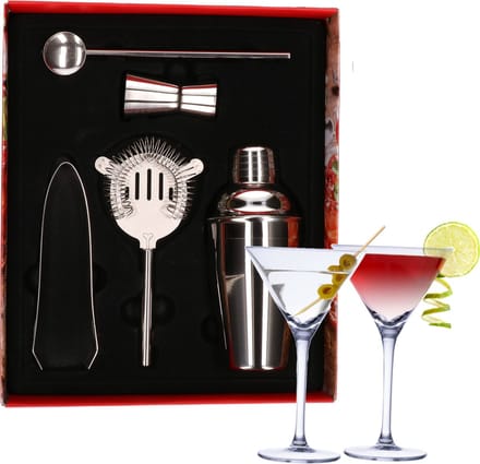 Cocktailshaker set RVS 5-delig inclusief 4x cocktail/martini glazen 220 ml