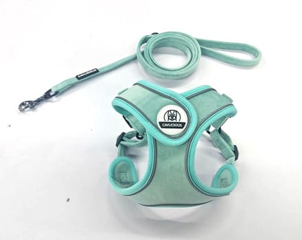 Cavlicious® X-TRA hondentuigje en leiband set - middelgrote hond - fluweel - turquoise - L