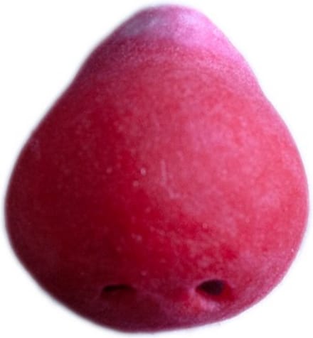 latex Nose Clown nr 100 Grimas