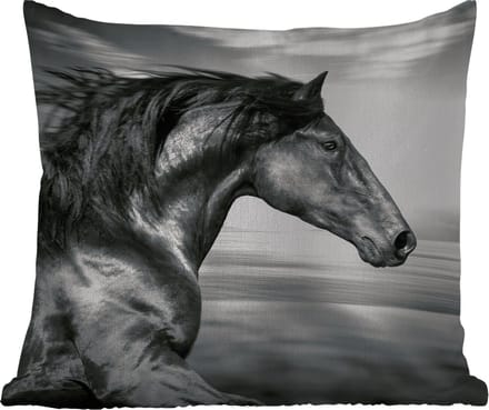 Tuinkussen - Paard - Dieren - zwart - Wit - 40x40 cm - Weerbestendig
