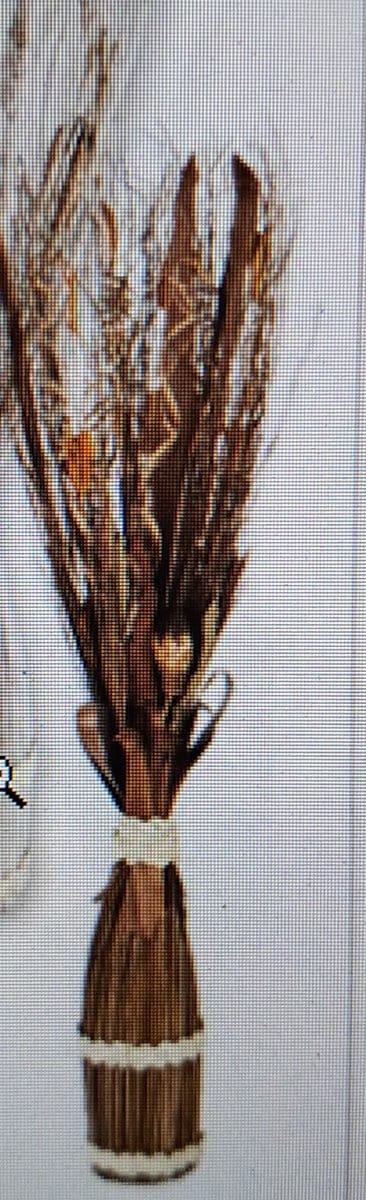 Melinera Gedroogde bloemen - Decoratie - 100 cm - Bruin