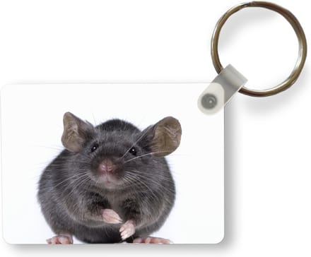 Sleutelhanger - Grijze muis - Uitdeelcadeautjes - Plastic