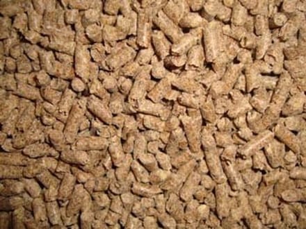Eckhardt Paardenbrok Basis 20 kg
