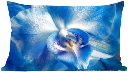 Sierkussens - Kussentjes Woonkamer - 60x40 cm - Blauw - Orchidee - Elegeant