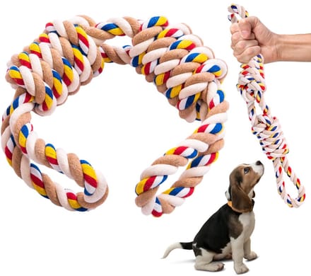 Dailygoods - Gepersonaliseerde Kattenhalsbanden - Verstelbaar en Schattig