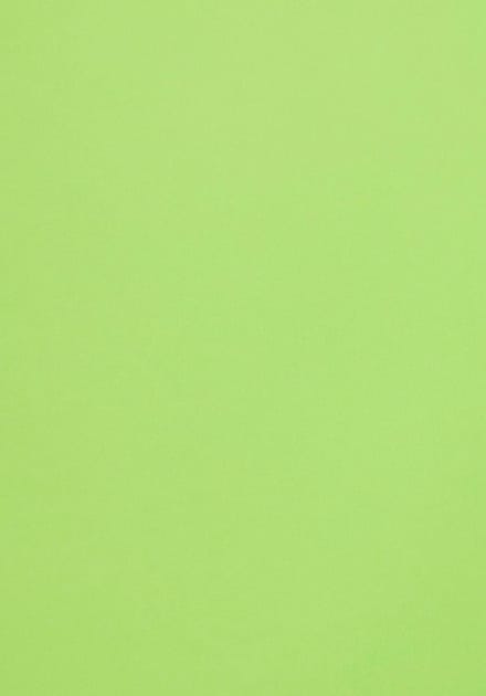 Netuno - groen glad gekleurd papier - A4 - 21 x 29,7 cm - 10 vellen - 120 gram - Malmero Bambou