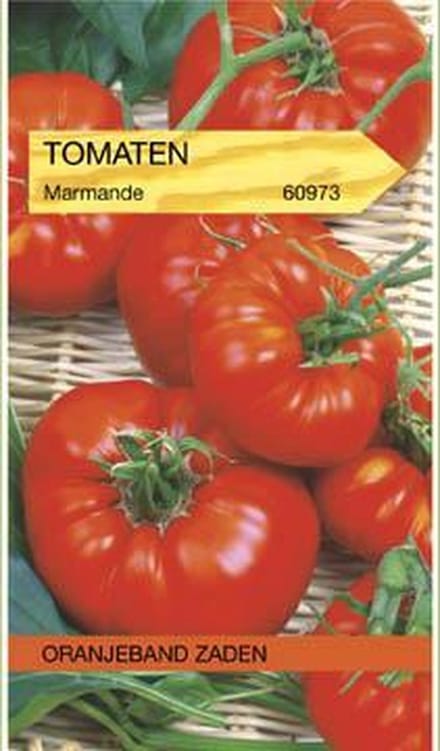 Tomaat Marmande
