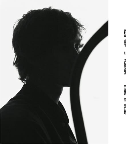 David West & Teardrops - Cherry On Willow (CD)
