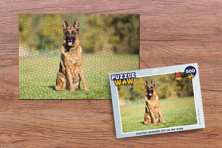 Puzzel Duitse Herder zit in de zon - Legpuzzel - Puzzel 500 stukjes