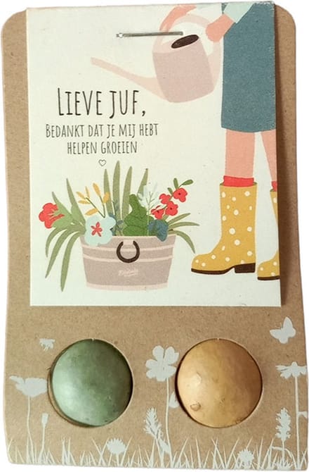 Floz Design bedankje juf - afscheid juf - groen cadeau juf - 2 zaadbommetjes - groen & eco