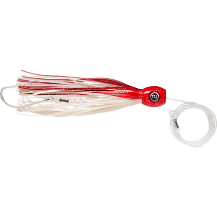 Lok Williamson Hspeed Sailfish
