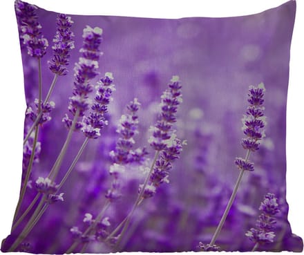 Tuinkussen - Lavendel - Close-up - Bloemen - Paars - 40x40 cm - Weerbestendig