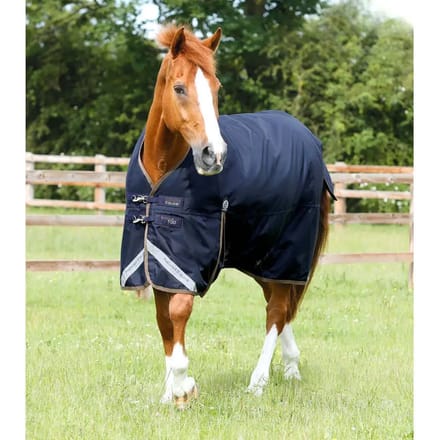 Outdoor paardendeken Premier Equine Titan 100 g