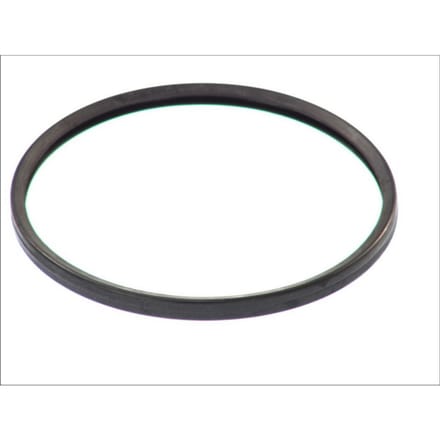 Pakking, thermostaat DT Spare Parts 2.15930