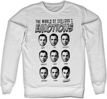 The Big Bang Theory Sweater/trui -L- Sheldon's Emotions Wit