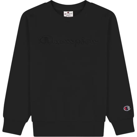 Champion Embroidered Terry Trui Jongens - Maat M