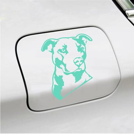 Bumpersticker - Pitbull  - 13 X 11 - Mint