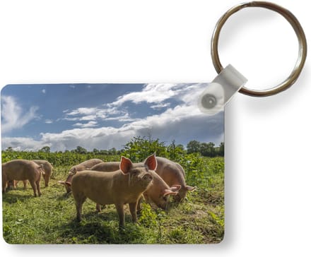 Sleutelhanger - Varkens - Gras - Wolken - Uitdeelcadeautjes - Plastic
