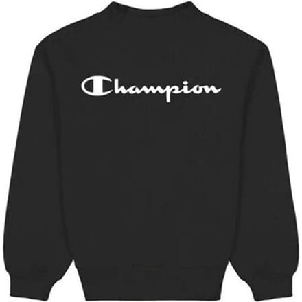 Sweaters Champion Crewneck Sweatshirt