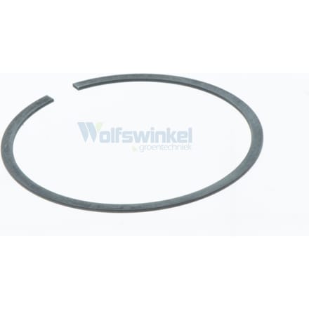 Piston ring