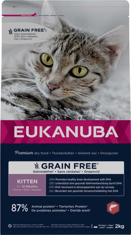 4x Eukanuba Kat Kitten Graanvrij Zalm 2 kg