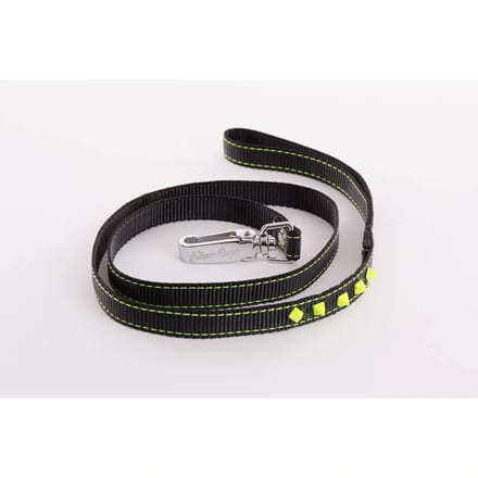 Fluo hondenlijn Martin Sellier