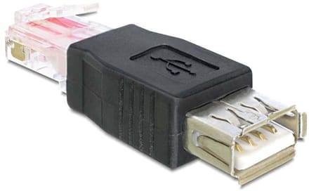 Delock USB 2.0 Type-A Female naar RJ45 Male adapter