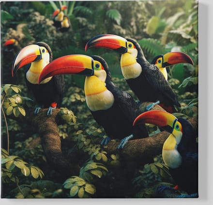 Canvas Schilderij - Dieren - Toekans - Vogels - Vierkant Canvas - 60x60x2 cm