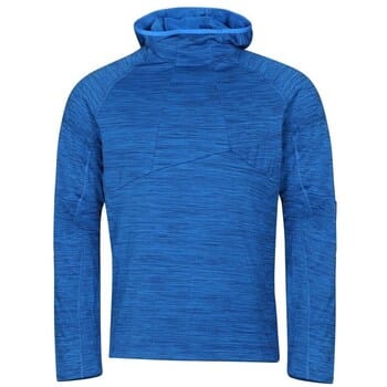 Capuchon sweaters Alpine Pro MSWB331653