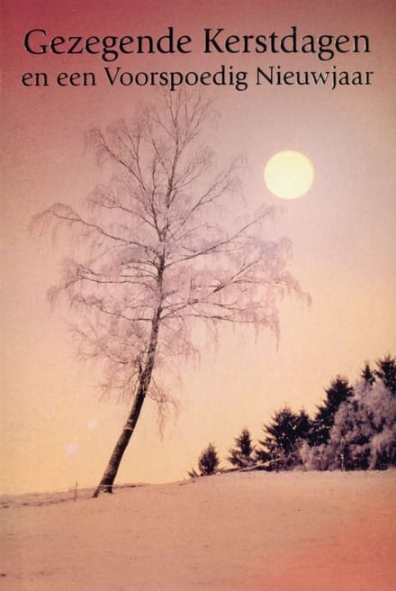 Dubbele Religieuze Kerstkaarten 21 - 6 stuks