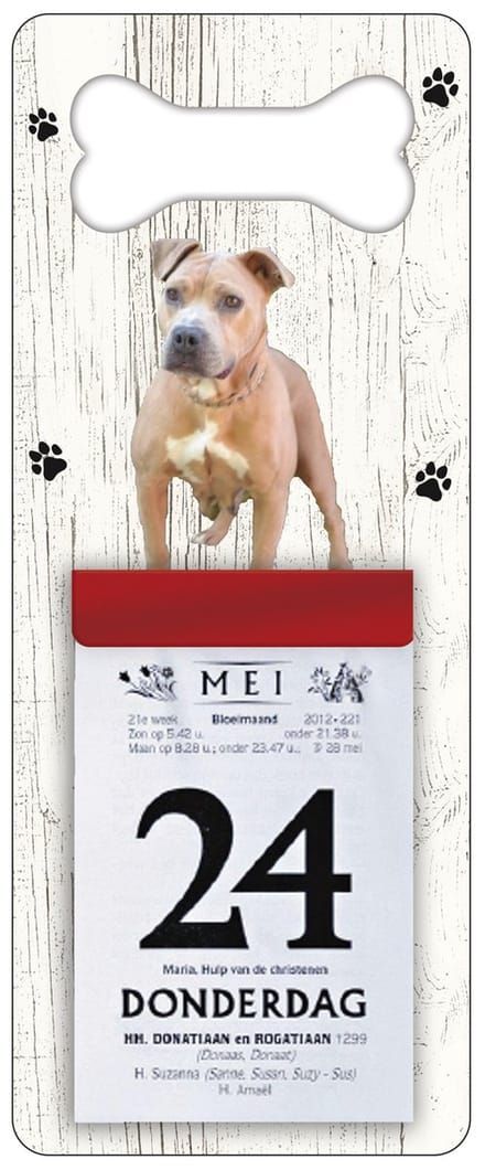 Scheurkalender 2027 Hond: Amerikaanse Stafford