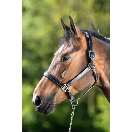 Halster voor paarden HFI Flat