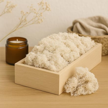 Rendiermos - Natural Vibes - 635g Box