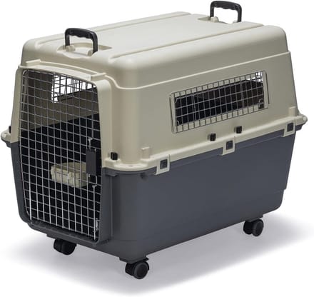 Transportbox voor Honden - Veilig en Comfortabel Reisgemak