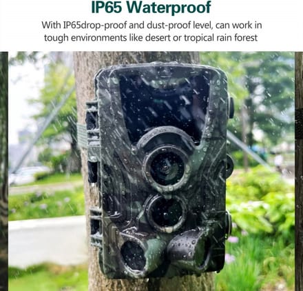 Jachtpad Camera Nachtzicht - Hc801a - Motion-Geactiveerde Outdoor Camera - Trigger Wildlife Scouting