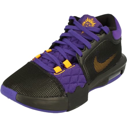 Nike Lebron Witness VIII Heren Basketbalschoenen Paars