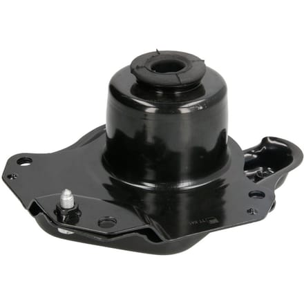 Motorsteun REINHOCH RH11-0076, achter, links