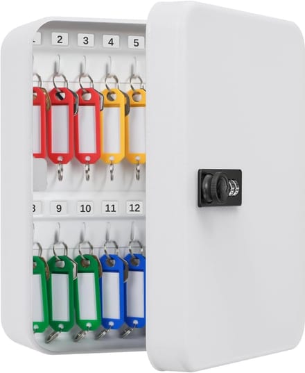 Famanu – Stalen sleutelkast met combinatieslot, 28 sleutelhaken, resetbare code, wandmontage (wit)