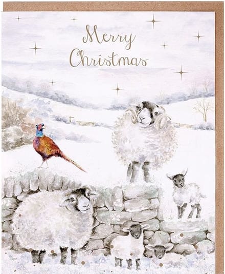 Wrendale Kerstkaarten Notepack - 8 stuks - 'Merry Christmas to Ewe' Sheep Christmas Card Pack